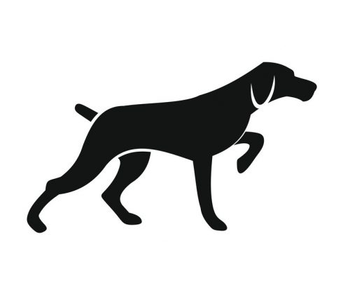 Pcontrol: Gerador de Leads Foxhound